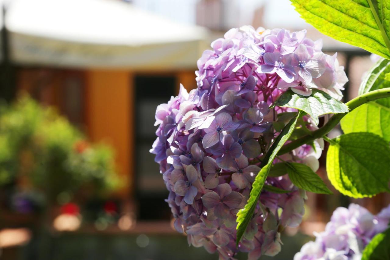 Bed and Breakfast Casa Rosaria Amalfi Coast Vietri Exterior foto