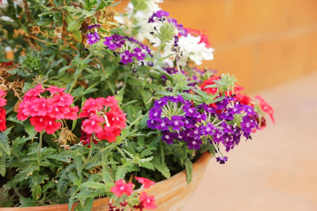 Bed and Breakfast Casa Rosaria Amalfi Coast Vietri Exterior foto